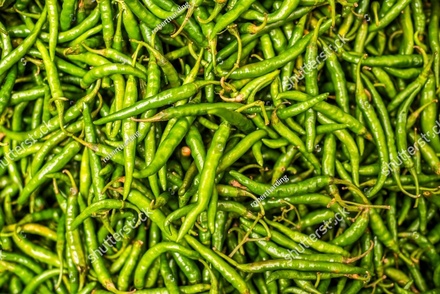 Green Chilli