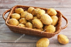 Potato