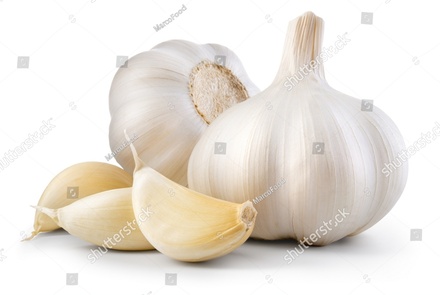 Garlic