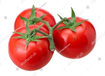 Tomato